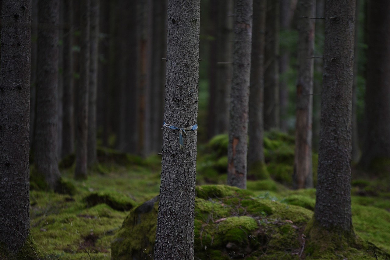 Technology Advancements Aiding in Conservation